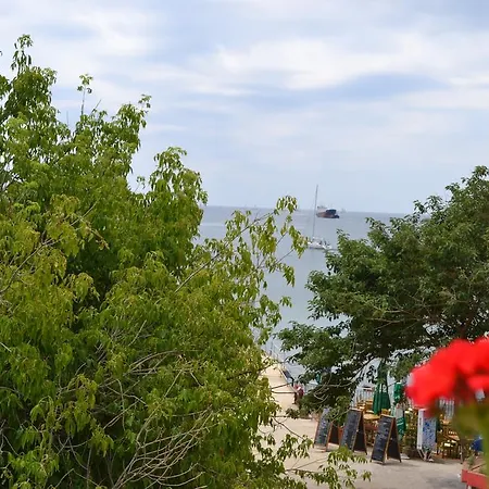 ホテル Family Magnolia 2*